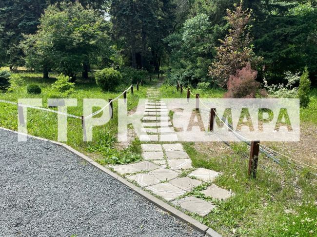 Самарцам рассказали, как в 2024 году работает Ботанический сад 
Фотопрогулка с репортером ГТРК «Самара»
..