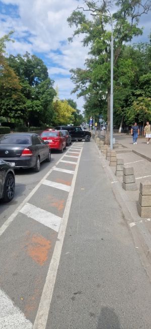 Ростовчанин возмущен отсутствием борьбы с автохамами, которые паркуются на велодорожках в центре..