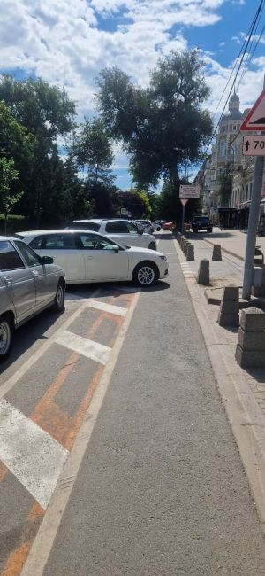 Ростовчанин возмущен отсутствием борьбы с автохамами, которые паркуются на велодорожках в центре..