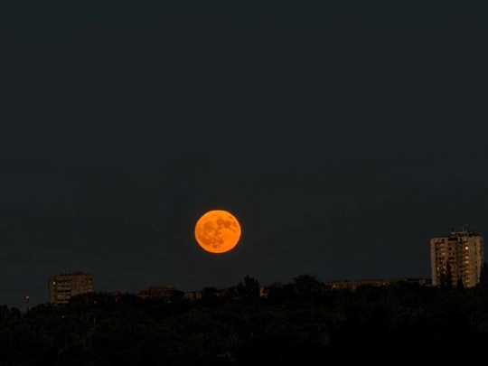 Этой ночью было очень красивое полнолуние 🌕  Автор, найдись..