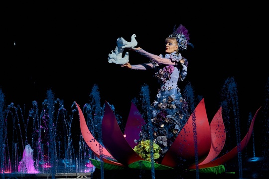 Гастроли "Цирка на воде" приходят в Челябинске, чтобы превратить ваши выходные в настоящий праздник! Хотите..