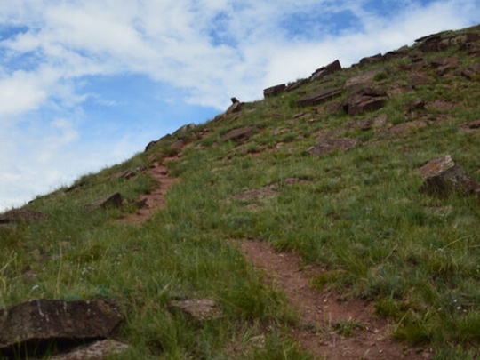 «Идем мы на гору Чалпан, на вершине которой находится крепость тагаро-таштыкского времени. На южном склоне..