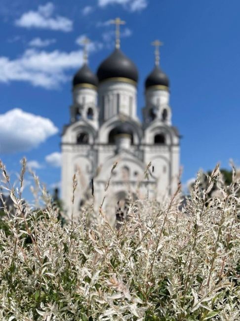 Храм Преподобного Серафима Cаровского в..