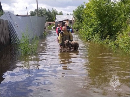 🥰 Доброты пост. Сотрудники МЧС России помогали не только людям, но и спасали животных в Челябинской..