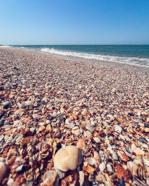 🏖 Должанская коса. Честный отзыв подписчика:  «Мы посетили Должанскую Косу уже в четвертый раз. До этого я не..