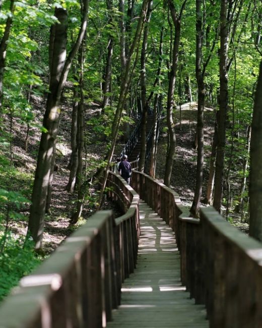 Природный парк «Долина реки Сходни в Куркино»  Фото: Александр..