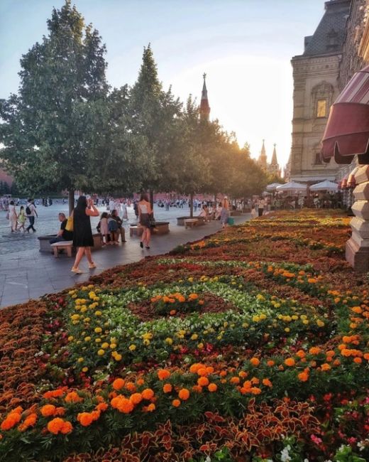 🌺ГУМ утопает в цветах.  Фото:..