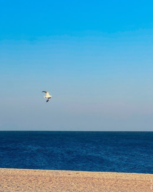 🏖 Должанская коса. Честный отзыв подписчика:  «Мы посетили Должанскую Косу уже в четвертый раз. До этого я не..