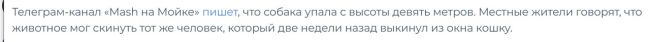 В Мурино с многоэтажки сбросили чихуахуа  В гетто под Петербургом всё стабильно: во дворе дома №15 по Новой..