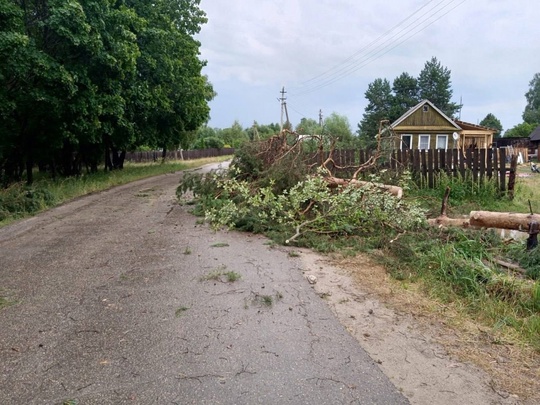 🗣️ Ураганный ветер уже прошелся по поселку Сатис Первомайского района  Там повалены деревья, оборваны..
