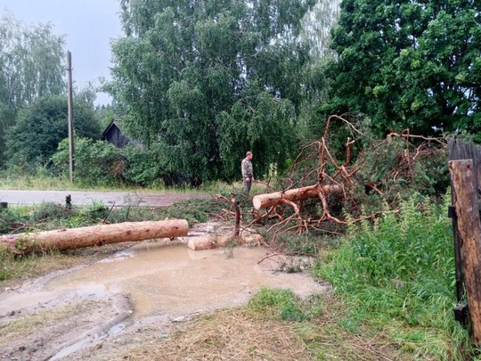 🗣️ Ураганный ветер уже прошелся по поселку Сатис Первомайского района  Там повалены деревья, оборваны..