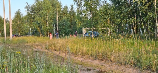 Табор в поселке Мое Царицыно 
Добрый день ☀️ Спешу Вам сообщить, что у нас на поле , в конце нашей улице в..