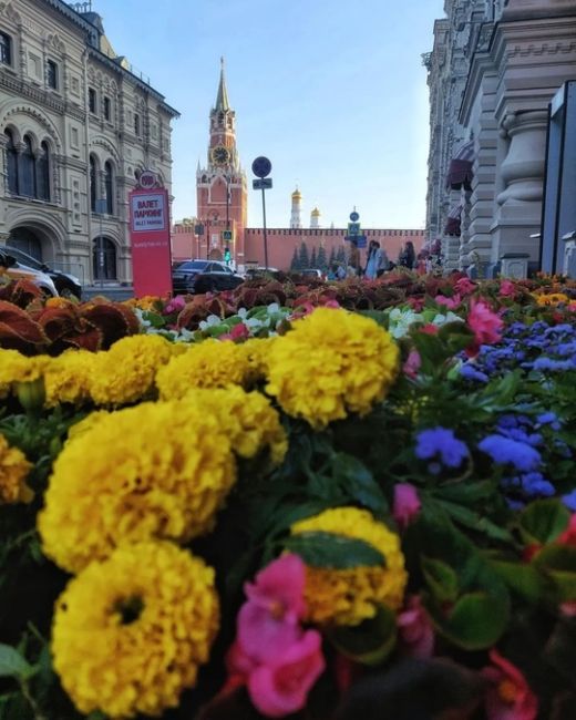 🌺ГУМ утопает в цветах.  Фото:..