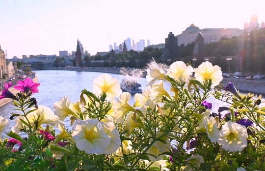 Цветочные композиции на Большом Москворецком..