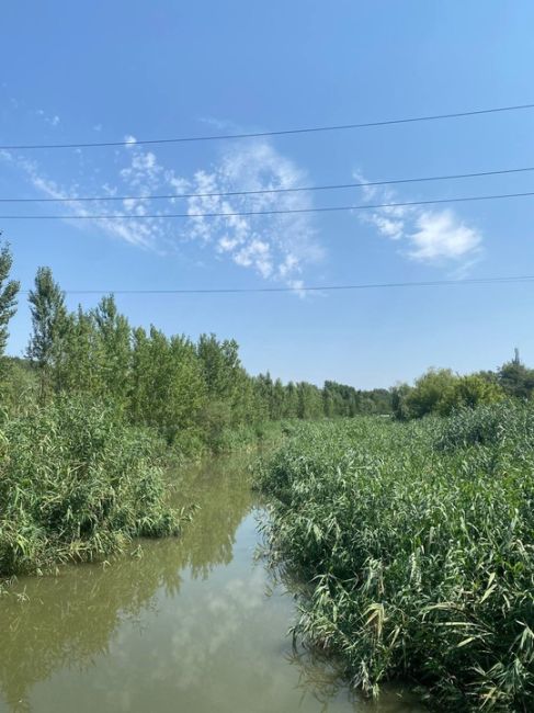 Фотопрогулка вдоль реки Темерник. Городская река постепенно оживает, пишет наша читательница из Ростова..