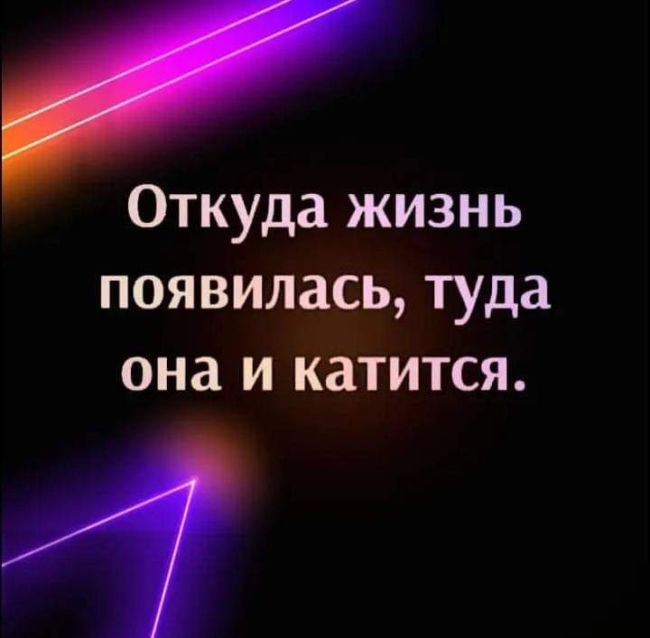 Силовики задержали всех стрелков с Комендантского  Более двадцати человек были доставлены в полицию после..