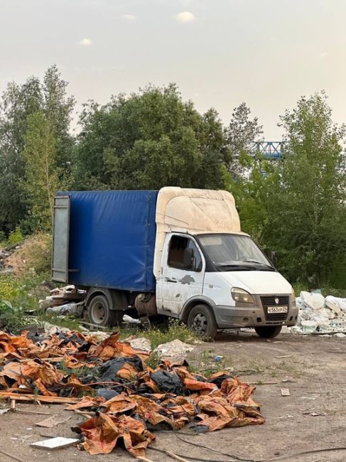 Молодые люди устраивают нелегальные свалки по всему городу никто на это не реагирует , прошу помощи , надо..