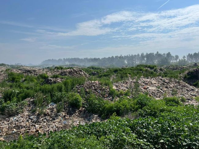 Под Самарой три дня тушили пожар в жару +40 °C 
Рассказываем, почему окружающие страдали от жуткого запаха 
В..