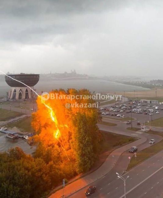 Молния ударила в дерево возле Чаши..