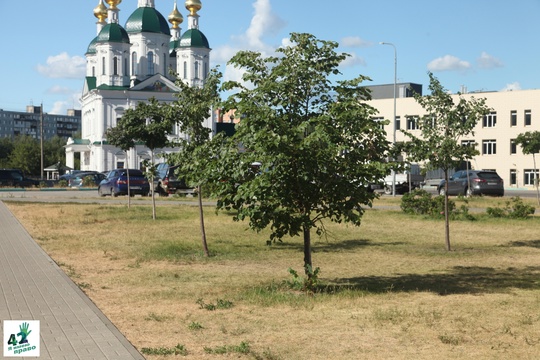 ☀🌳📝 
Микрорайон Юг в Автозаводском районе иногда используется как пример формального, некачественного..