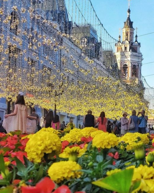 🌺ГУМ утопает в цветах.  Фото:..