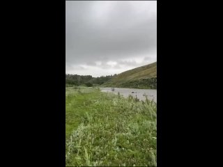 🌊 Погода снова испытывает жителей Башкирии на прочность 
Непогода бушует в Башкирии уже несколько дней. 
В..