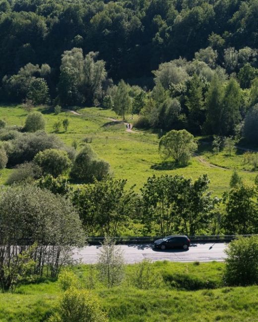 Природный парк «Долина реки Сходни в Куркино»  Фото: Александр..