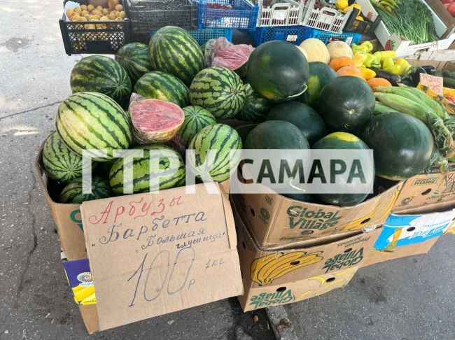 Стали известны цены на привозные арбузы в Самаре  Обзор торговых точек со сладкой ягодой в разных районах..