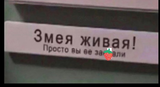 😂 Широконосая вοcтοчнaя змeя, пять раз подряд трагически "умирала". Явно заслуживает Оскар 🏆😄  ⚠ВНИМАНИЕ!..