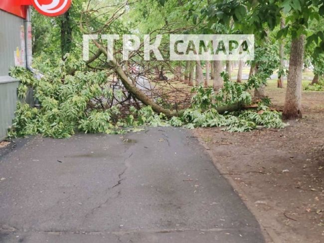 Шторм повалил деревья в Самаре 21 июля  Последствия..