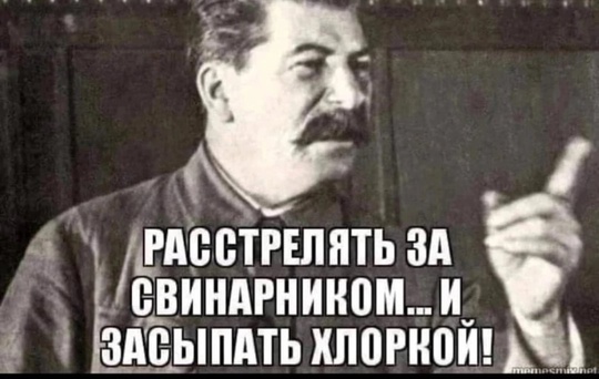 В Балашихе мигрант затащил в кусты 12-летнюю русскую девочку и попытался изнасиловать, но его вовремя..