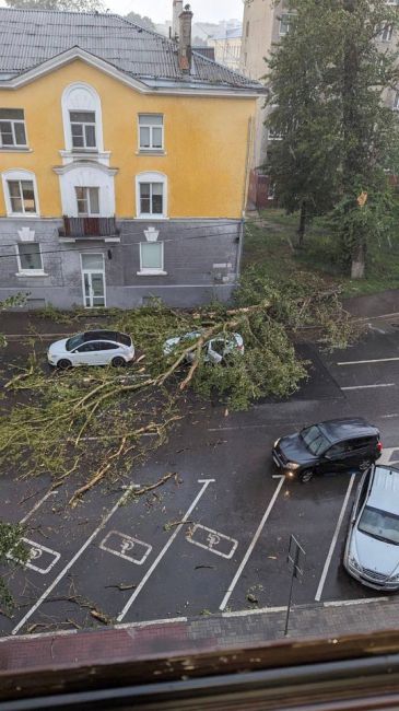 🗣Дождь и ветер в Нижнем Новгороде повалили дерево на..