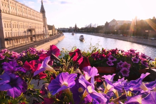 Цветочные композиции на Большом Москворецком..