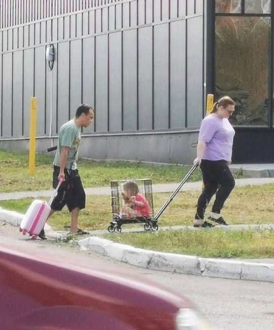 В Оренбурге заметили семью, которая выгуливала ребенка в клетке на колесах.  Молодая семья с собачкой..