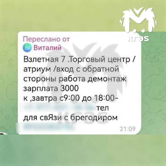 Вот то самое объявление о подработке в ТЦ "Атриум", на которое откликнулись погибший Кирилл и его..