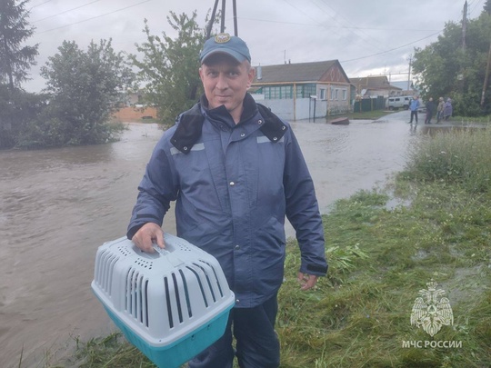 🥰 Доброты пост. Сотрудники МЧС России помогали не только людям, но и спасали животных в Челябинской..