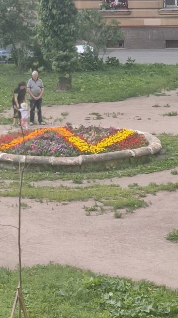 В Петербурге и Ленобласти разгромили могилы участников СВО  За день в полицию поступило два заявления от..