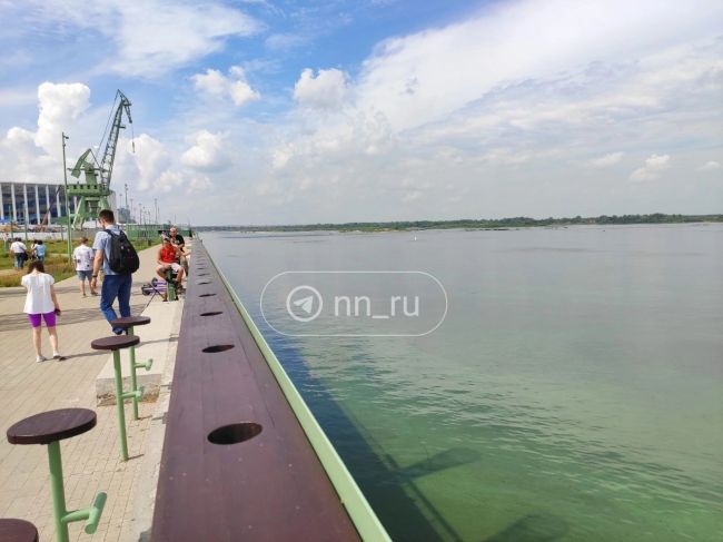 В Нижнем Новгороде позеленела Волга  Передает "НН-РУ":  "Сегодня жители Нижнего Новгорода обратили внимание..