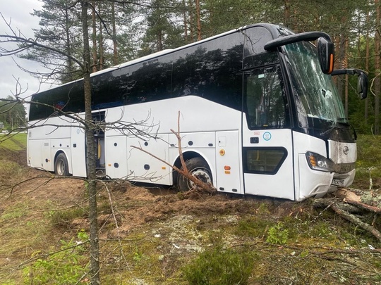 Автобус, полный пассажиров, слетел в кювет и врезался в дерево на Мурманском шоссе в Волховском районе..