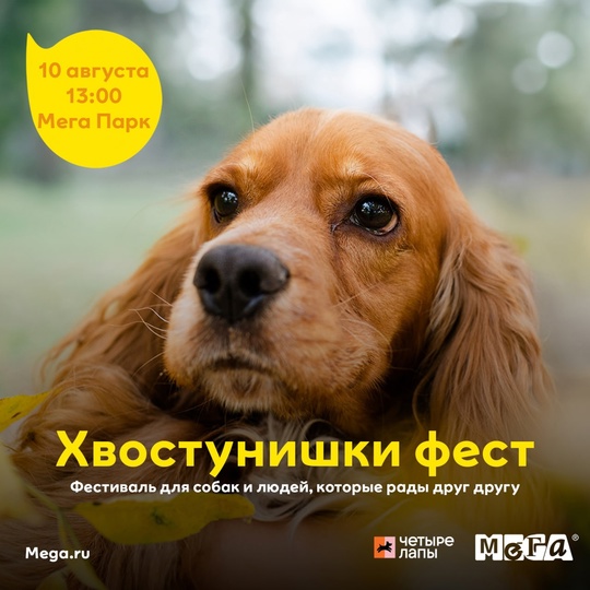 🥳 Приглашаем на Дог-фестиваль «Хвостунишки» в МЕГЕ Дыбенко  Второй год мы встречаемся в МЕГА Парке, чтобы..