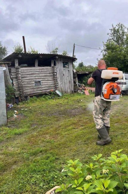 Под Новосибирском песель подрался с лисой из-за косточки  Инцидент произошел в селе Долгово. Там лиса..