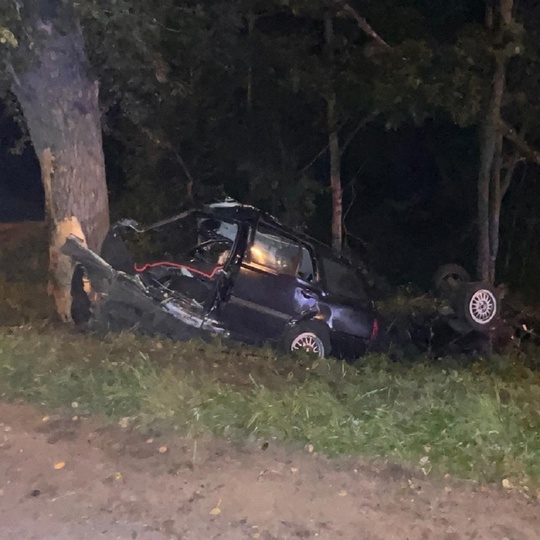 Легковушка врезалась в дерево под Гатчиной — трое погибли 
ДТП произошло этим вечером на Киевском шоссе...