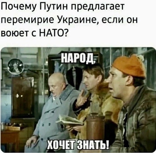 Петербурженку, осуждённую по статье о «фейках об армии», отпустят домой  В Петербурге стало ещё одной..