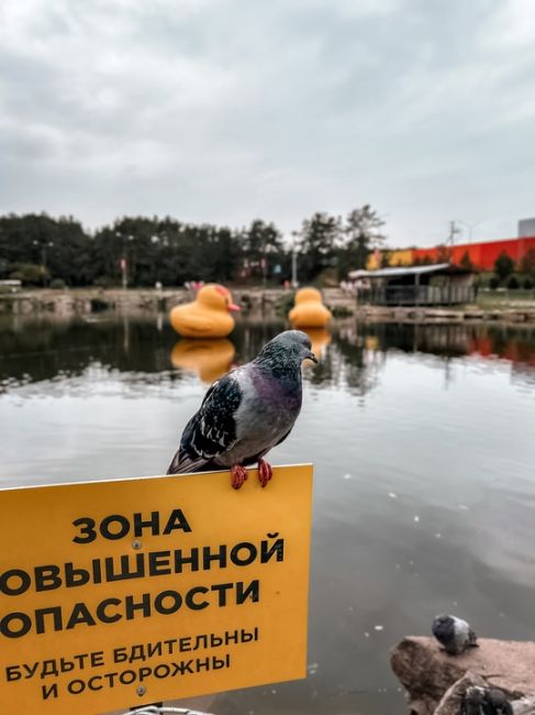 Прогулка в последние дни прохладного лета по парку "Радуги"⛅️  За фото спасибо нашему..