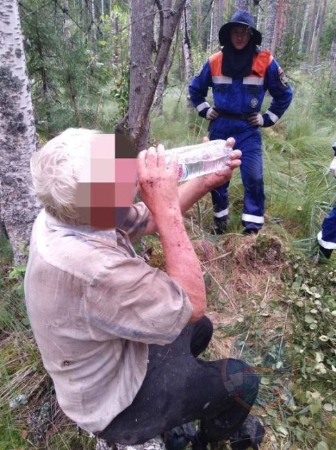 😱 Пенсионер заблудился и больше недели провел в лесу в Ленобласти. Его нашли живым. 
Пожилой мужчина..