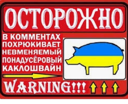 В Свердловской области ветеран СВО попытался поджечь семейное кафе из-за недовольства качеством фруктов. Он..