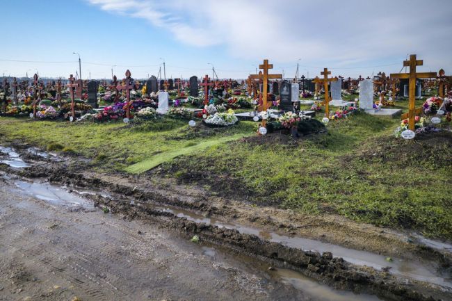 Петербурженка судится за гробовые осуждённого брата, умершего на СВО  В Василеостровский районный суд..