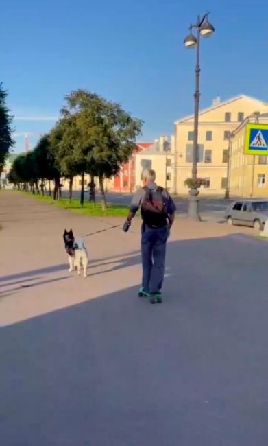 Петербуржец придумал лайфхак для прогулок по городу для тех, кто с сединой на висках, но ещё молод..