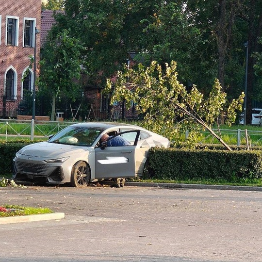 В Красном Селе каршеринг шел на взлет, но гравитация оказалась..