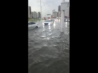 А вы стали бы так рисковать ради спасения собственного..